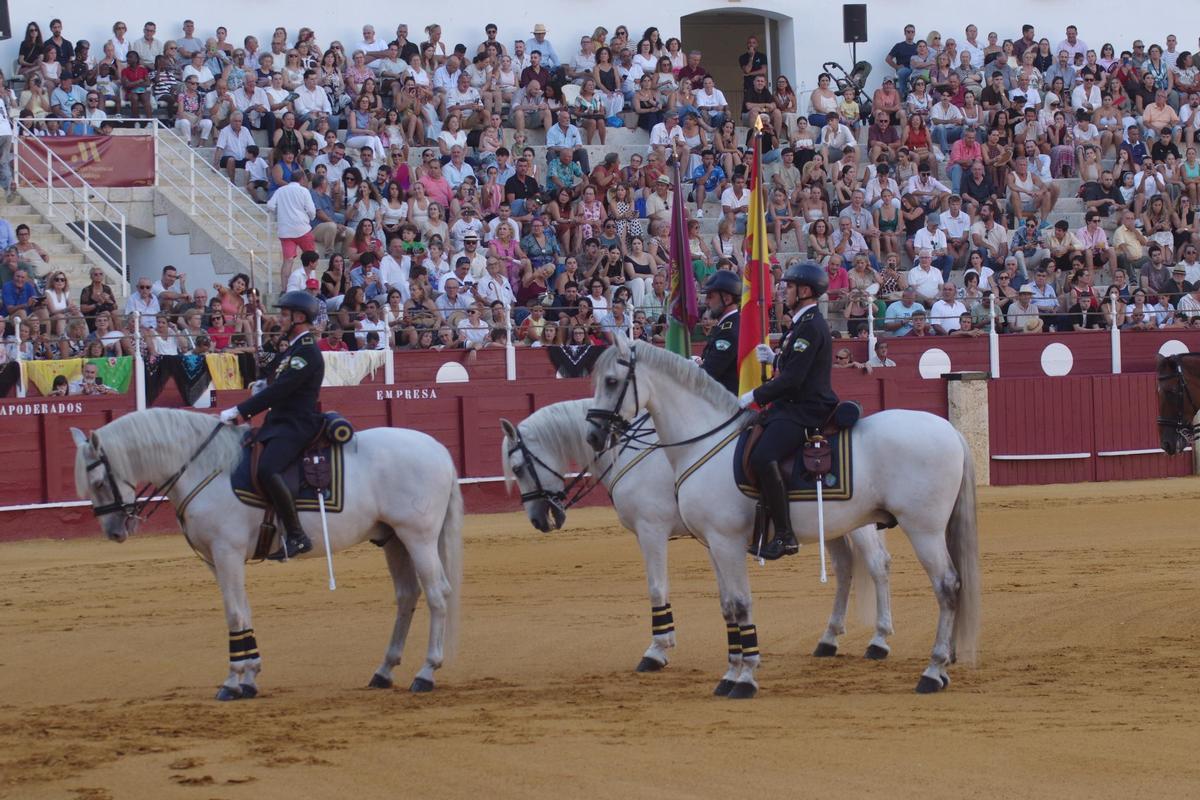 Fotos del concurso de exhibición de Enganches de Caballos Ciudad de Málaga 2026