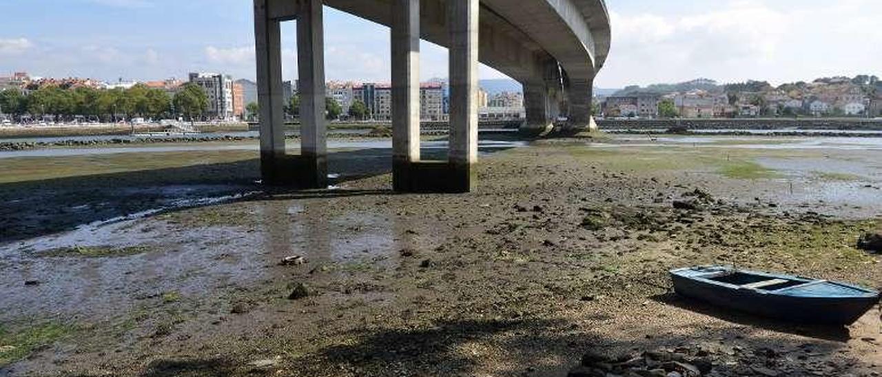 Acumulación de sedimentos bajo el puente de la autopista. // G. Santos