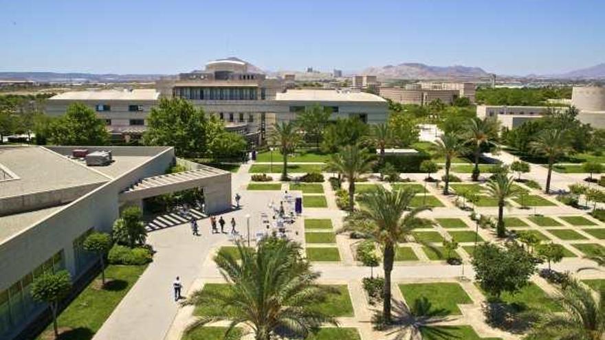 La protección del medio ambiente es uno de los puntos fuertes del campus alicantino.