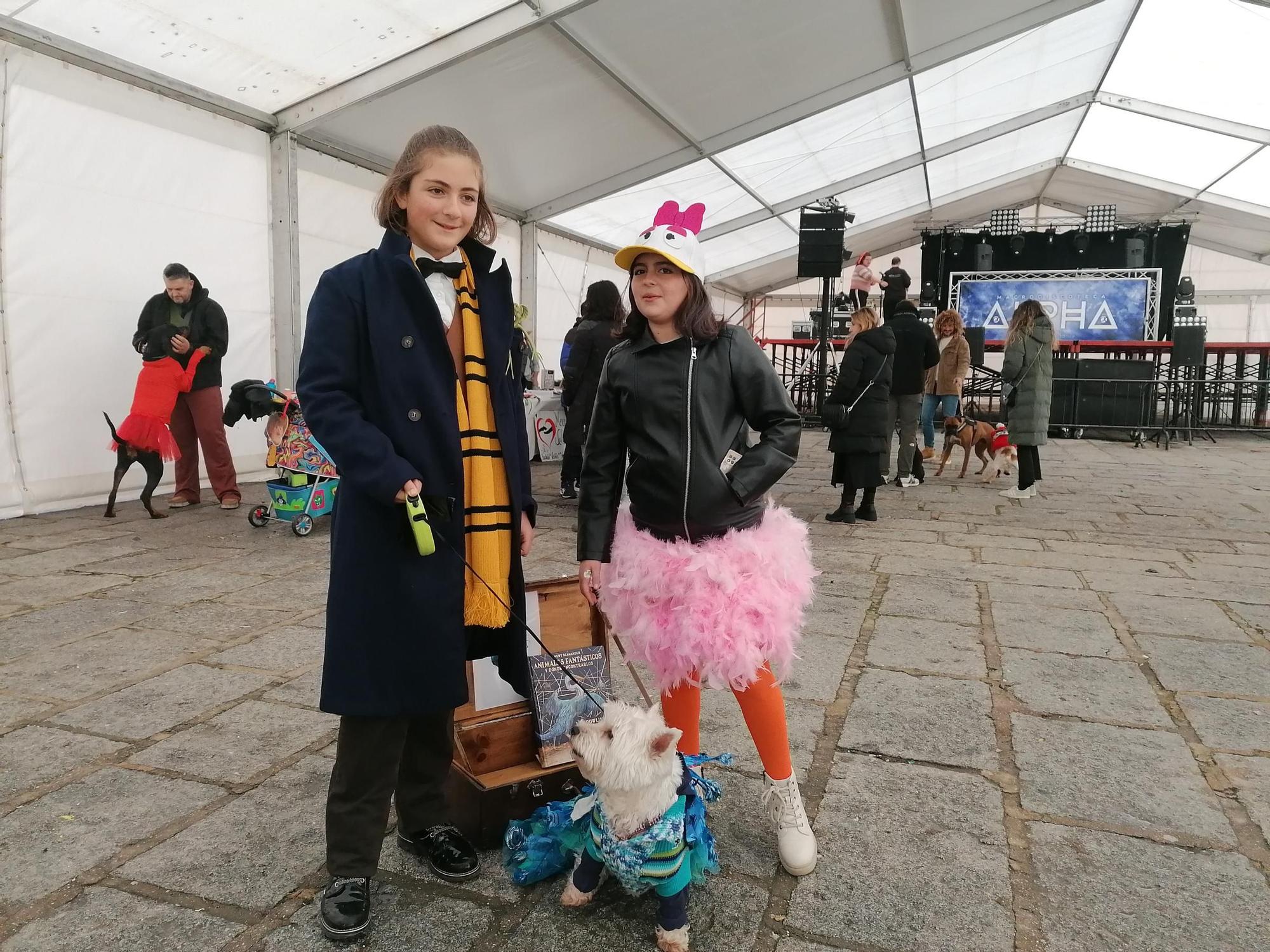 GALERÍA | Los animales se suman a la fiesta en el Carnaval de Toro