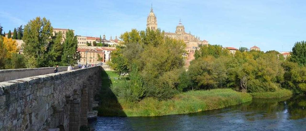 Entre el puente romano de Salamanca y el puente del rey Felipe VI hay un hermoso tramo de paseo a la vera del Tormes // E.J.R. Posada