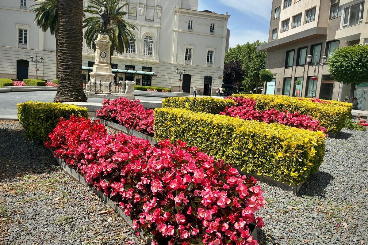 Las flores ya plantadas en la plaza de Minayo.