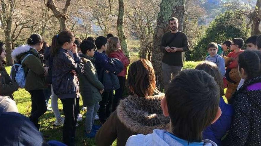 Alumnos, atentos a la explicación en la carballeira de Bronlle. // G.N.