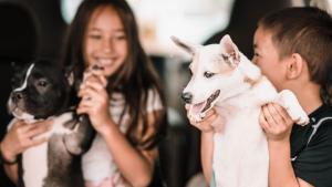 Convivir con mascotas durante la infancia puede prevenir a los niños de sufrir asma