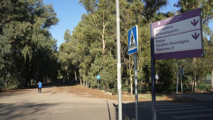 Campus universitario de Rabanales.