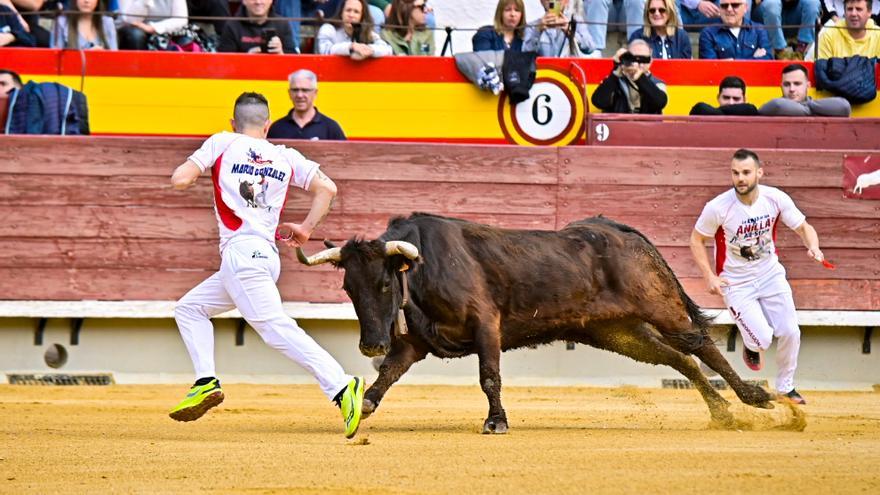 Mario González y Luis Miguel se alzan con el ‘All Star’ taurino de las Anillas en Castellón