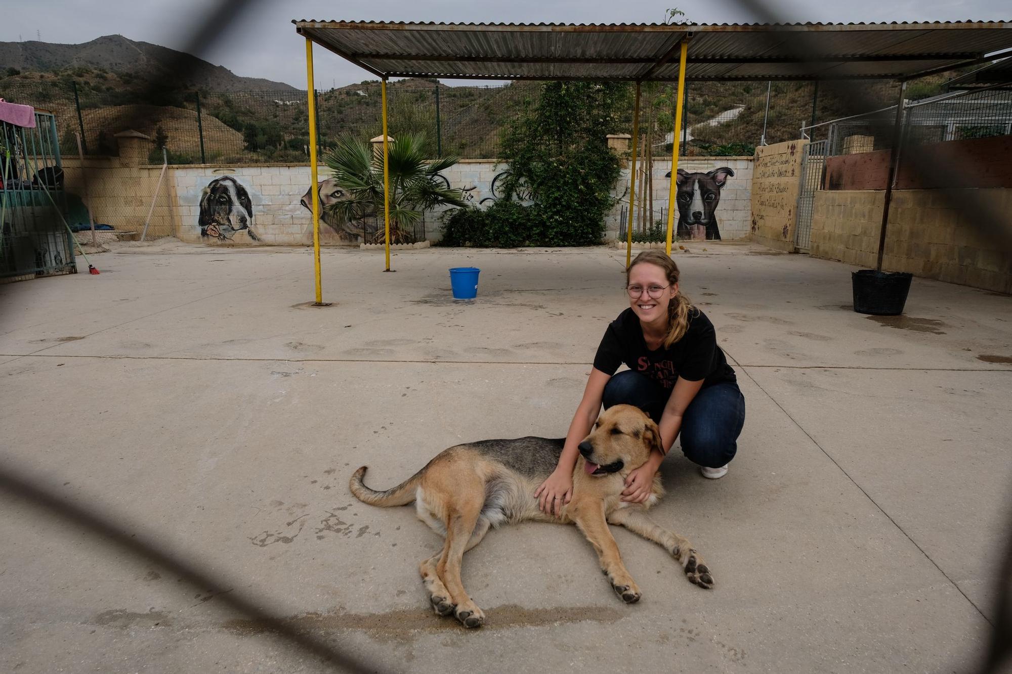 La Protectora de Animales de Málaga, a finales de octubre