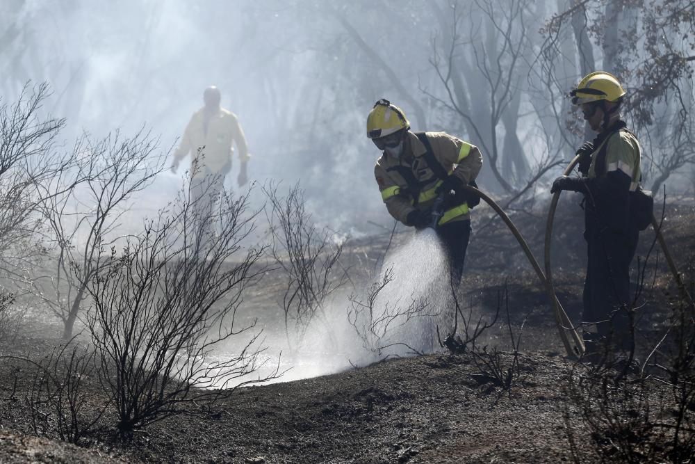 Incendi a al polígon industrial de Maçanet