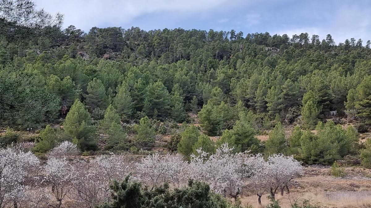 Paisaje de montaña de Titaguas.