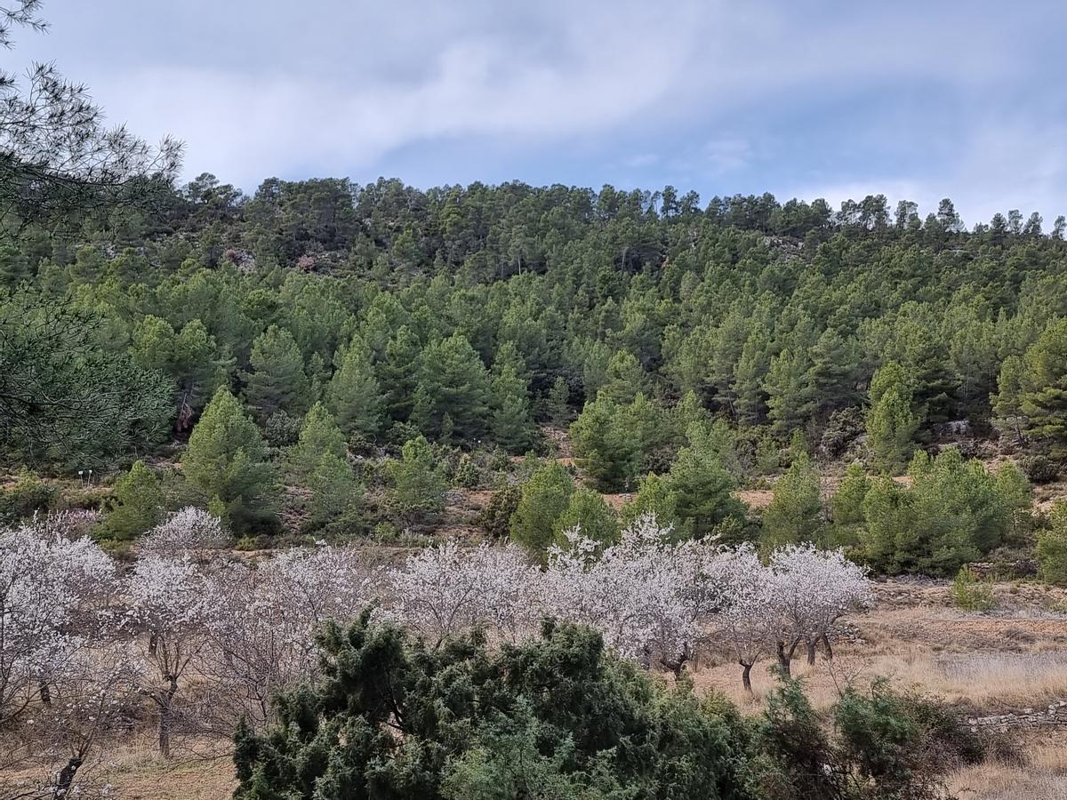 Paisaje de montaña de Titaguas.