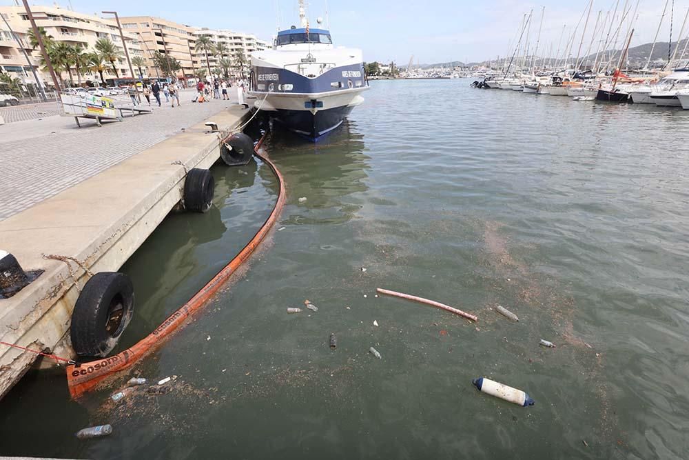 Vertidos por el temporal en el Puerto de Ibiza.