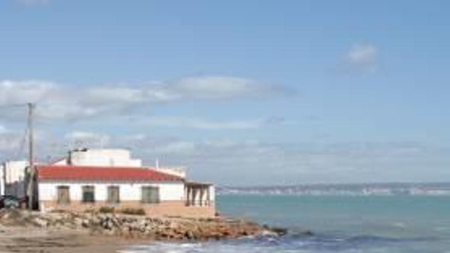 El Pinet será la primera playa de Elche en ofrecer un área para perros