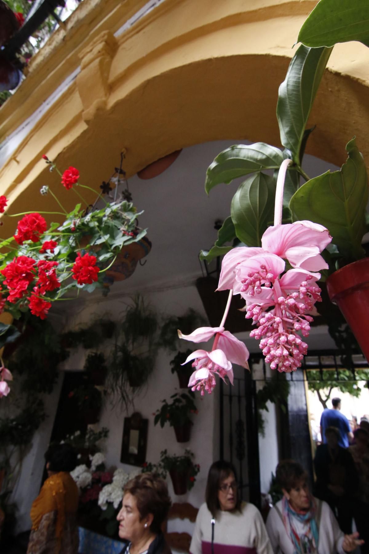 Paseando por el Alcázar Viejo