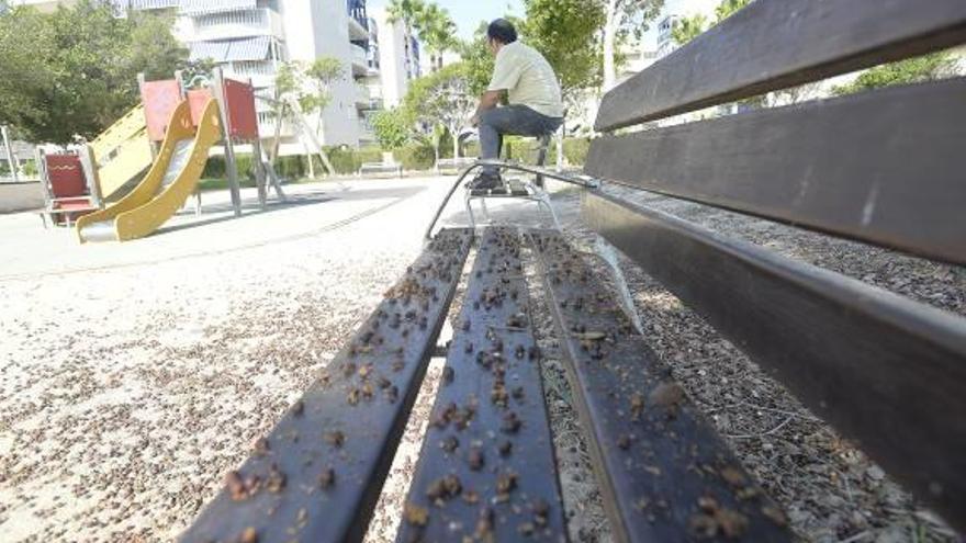 Un banco del parque Dama de Elche impregnado de hojarasca y pequeños frutos caídos.