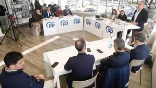 El PP pone a sus ayuntamientos grandes en contra de Montero: "Es la más antiandaluza y antimalagueña del PSOE"