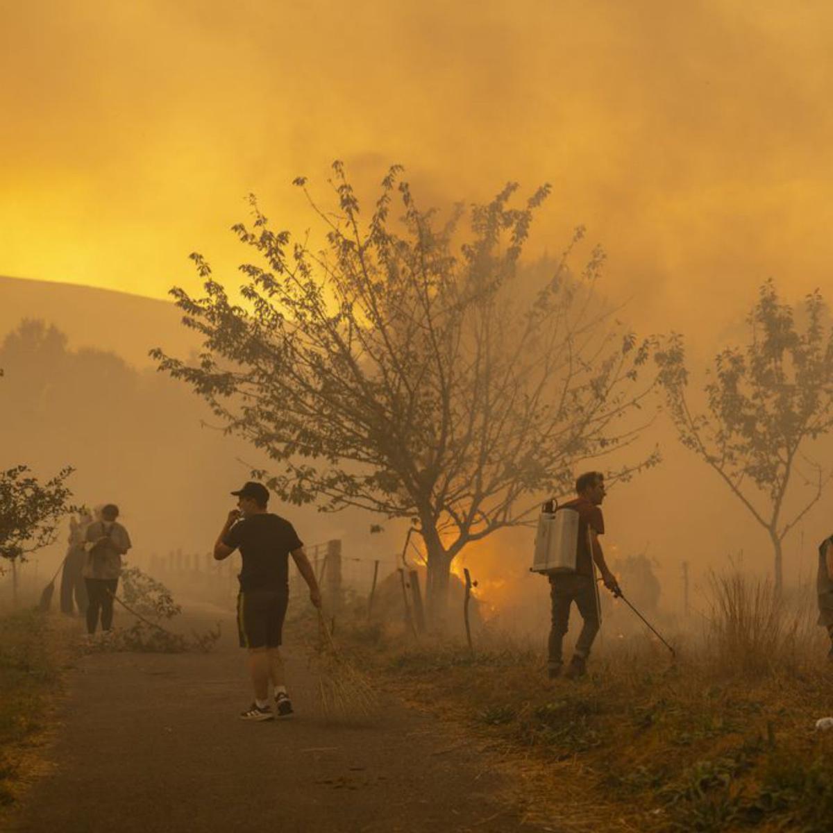 La majoria dels signes vitals del planeta empitjoren