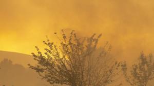 La majoria dels signes vitals del planeta empitjoren