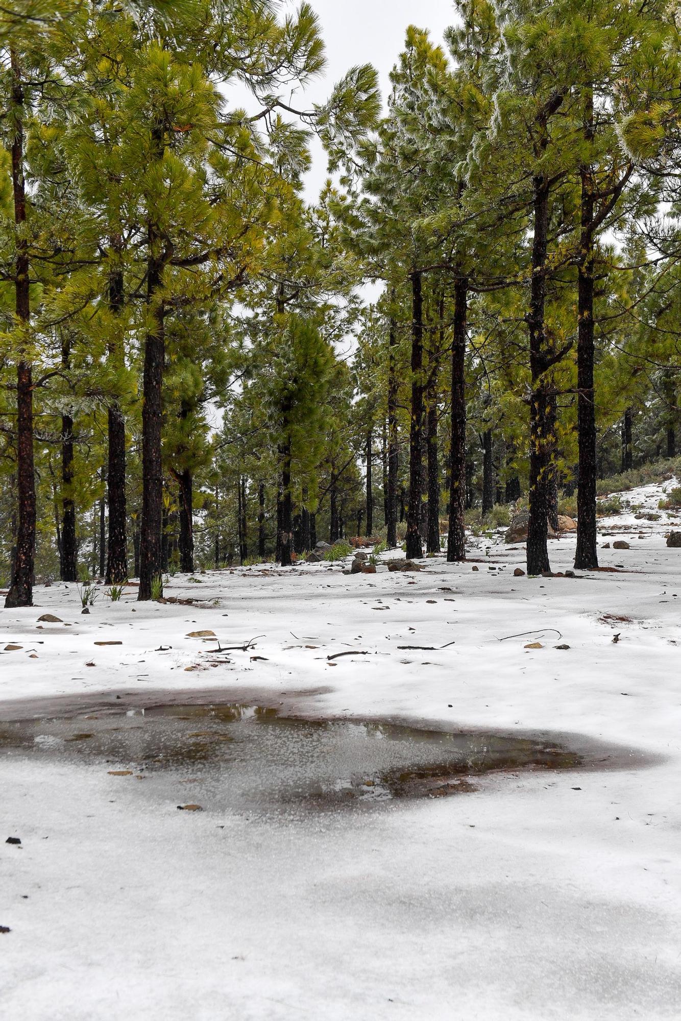 Nevada en Gran Canaria (16/02/23)