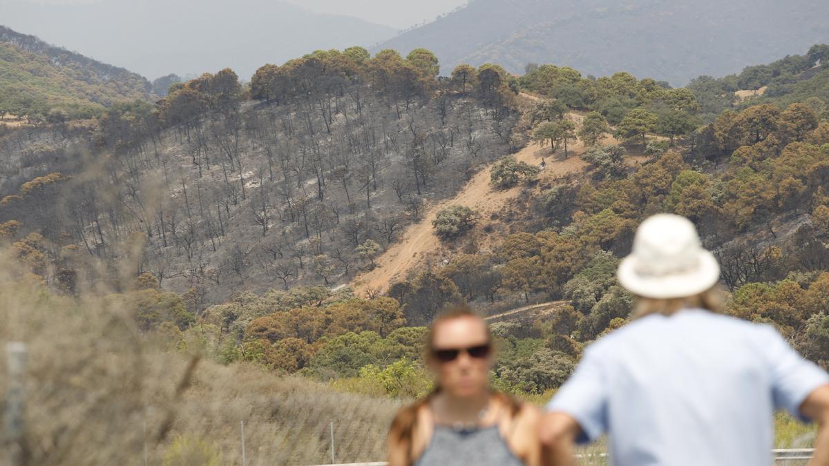 Un incendio en Sierra Bermeja provoca el desalojo de un millar personas en Estepona, Jubrique y Genalguacil