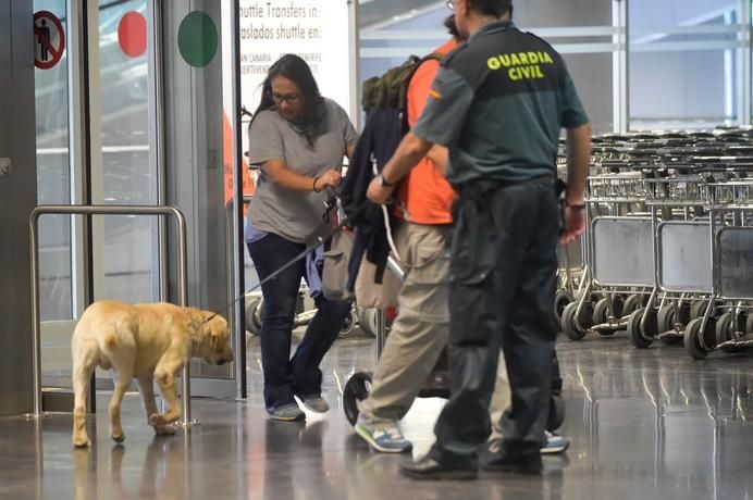 REPORTAJE UNIDAD CANINA AEROPUETO DE GRAN CANARIA