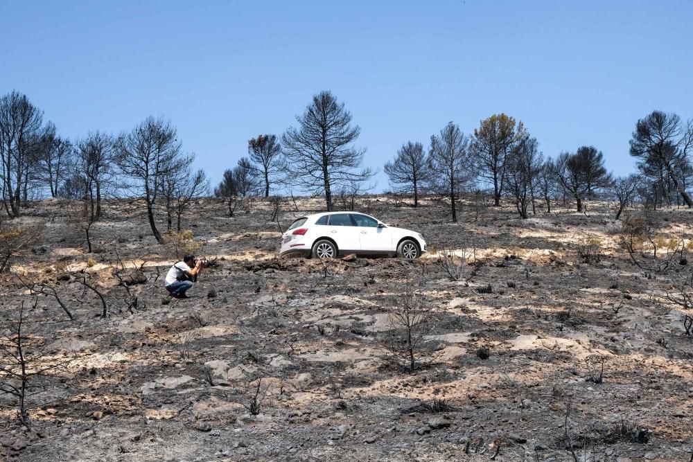 Así ha quedado la zona tras el incendio.