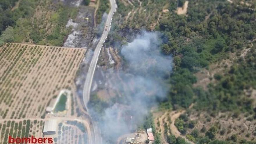 Un foc a Esparreguera crema 3 hectàrees de camps