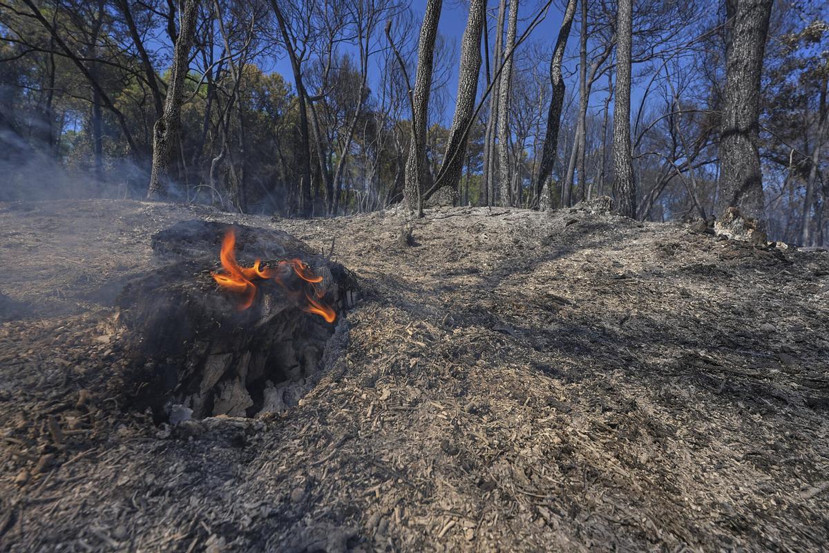 Les imatges de l'incendi de Vilavenut Les imatges de l'incendi de Vilavenut