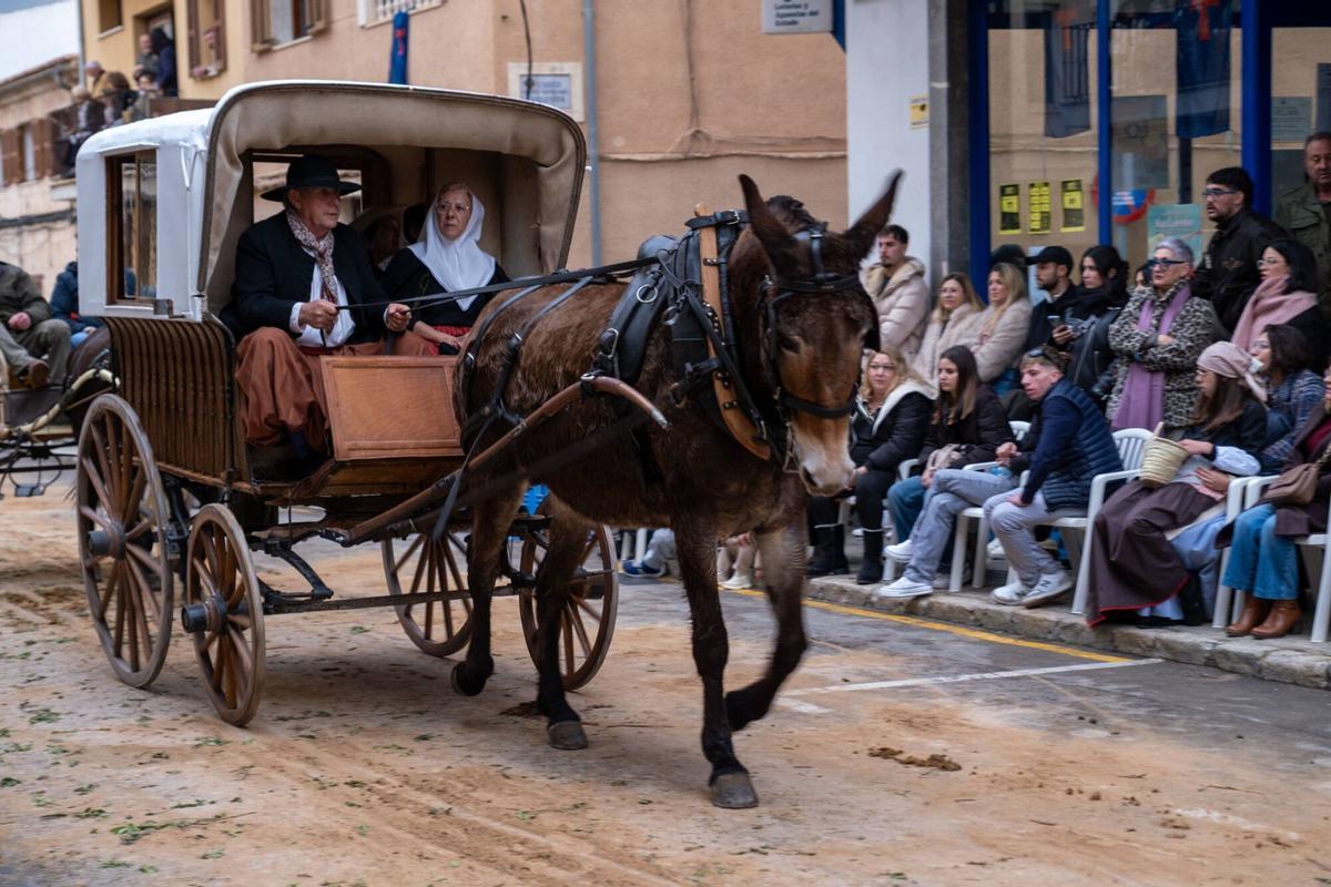 So eindrucksvoll waren die Tiersegnungen zu Sant Antoni 2026 in Muro