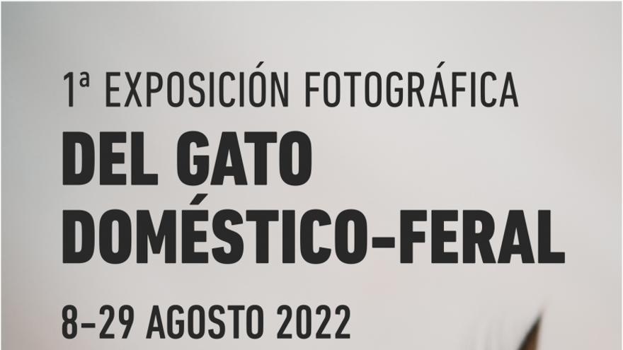 1ª Exposición fotográfica del Gato doméstico feral