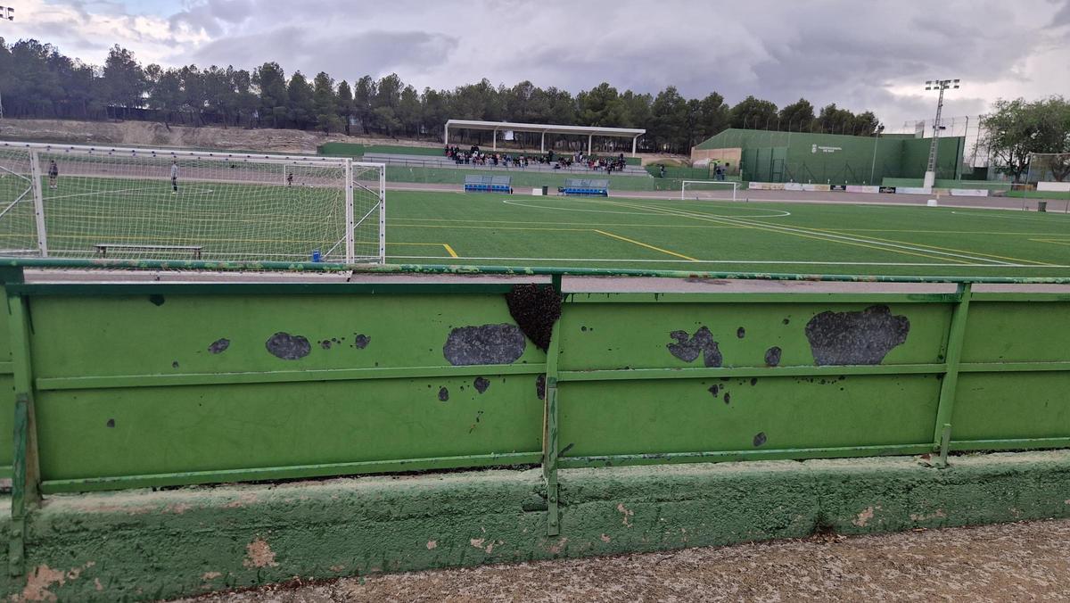 Enjambre en la parte central de una valla del campo de fútbol de Sax el pasado sábado