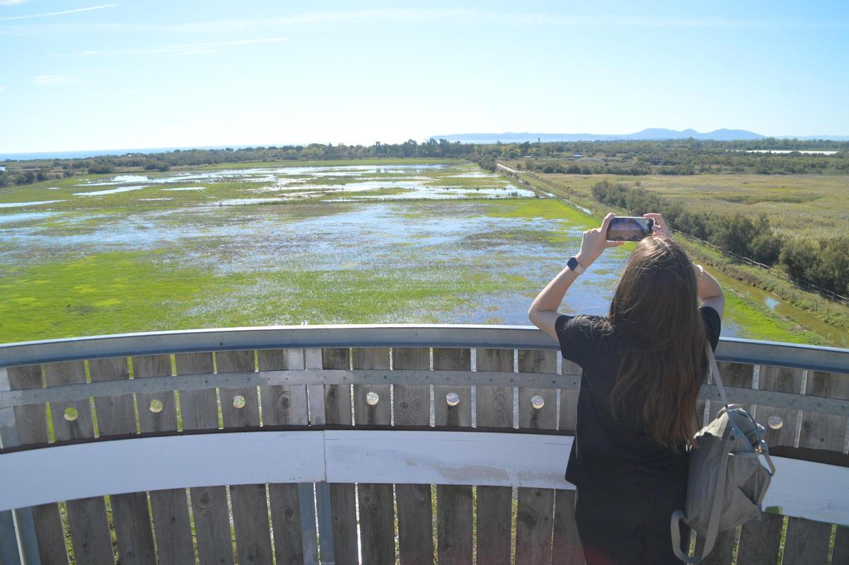 Uno de los observatorios del parque.
