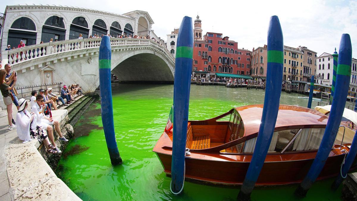 Alerta en Venecia: el Gran Canal se tiñe de verde