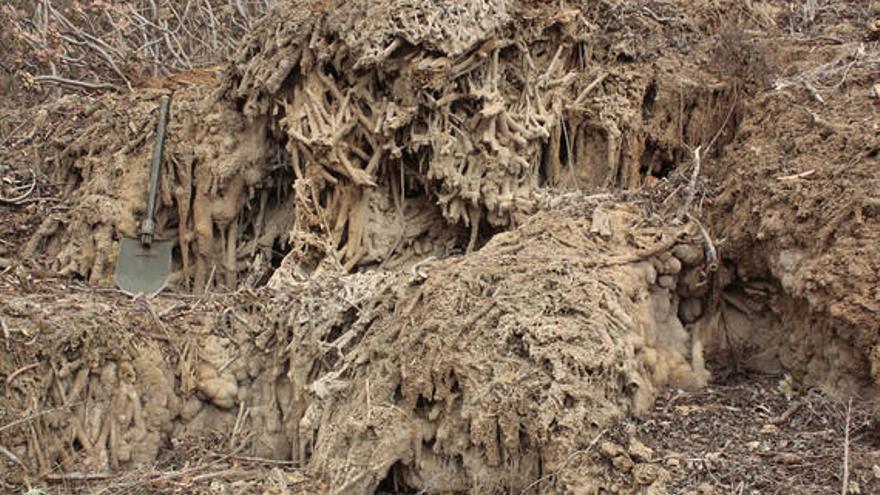 El hombre acelera la geología