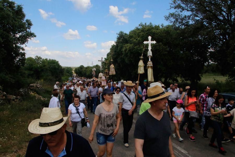 Romería de la Virgen del Castillo en Fariza