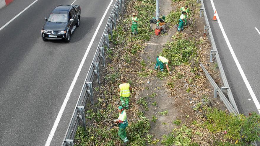 El Cabildo adjudica la conservación de zonas verdes de las carreteras por 20,5 millones