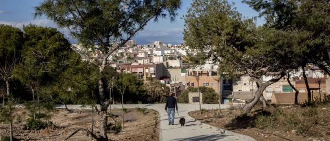 Un hombre pasea con su perro por uno de los senderos.