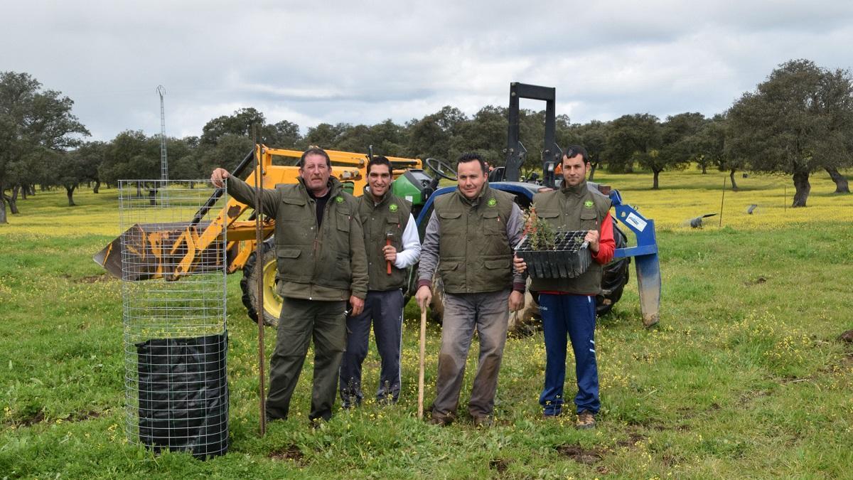 El Dehesafío busca fincas para regenerar el encinar de Los Pedroches