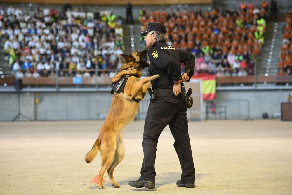 Exhibición de unidades especiales de la PN