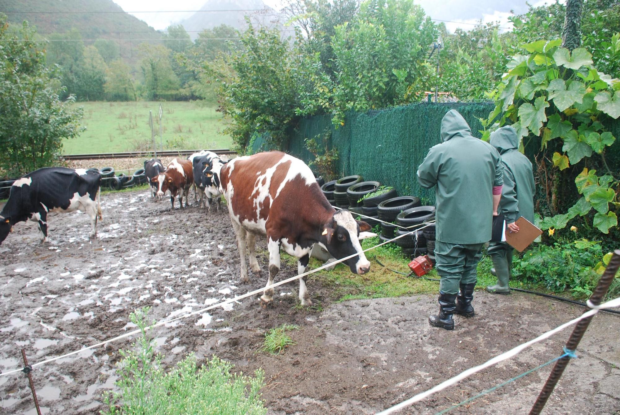 Crimen de Cueves (Ribadesella)