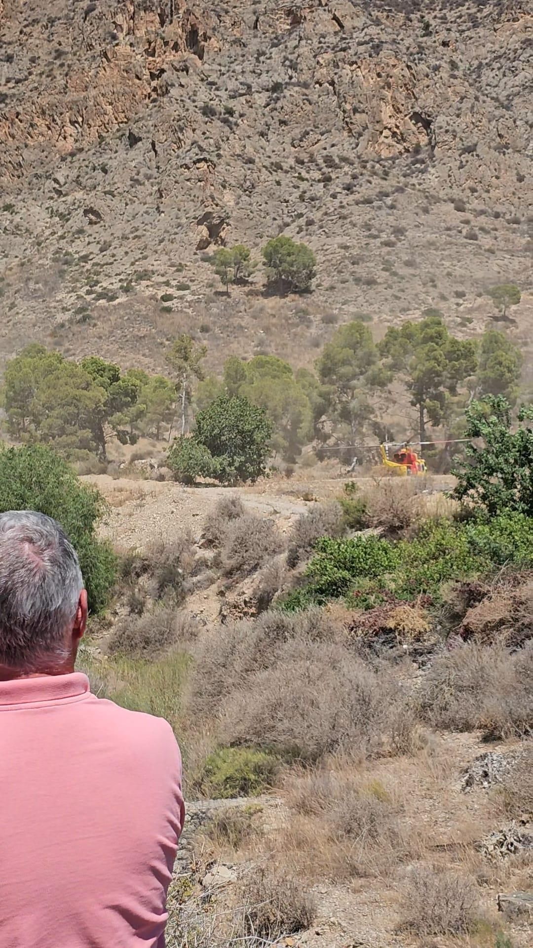 Controlado el incendio forestal que afectaba a la Sierra de Orihuela en La Aparecida