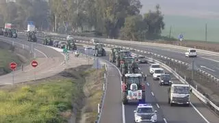 Los agricultores protestan en Córdoba con una tractorada