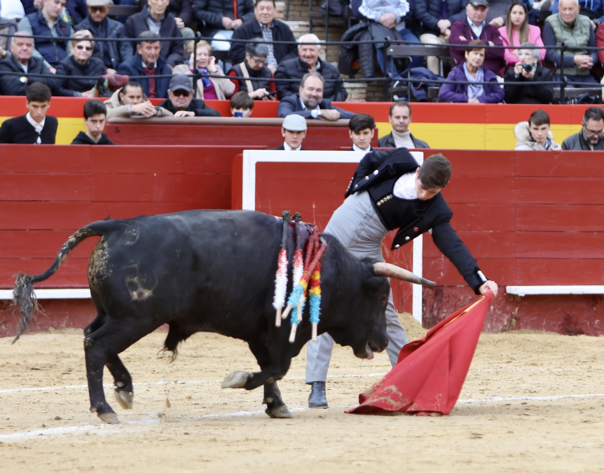 Javier Cuartero brilla en València y marca la diferencia en el cierre del ciclo de novilleros de la Feria de Fallas