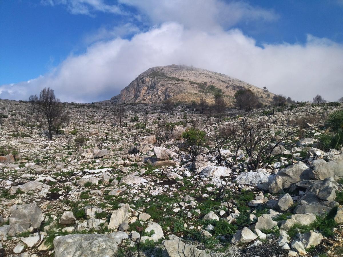 Los suelos de lapiaz abundan en las montañas arrasadas