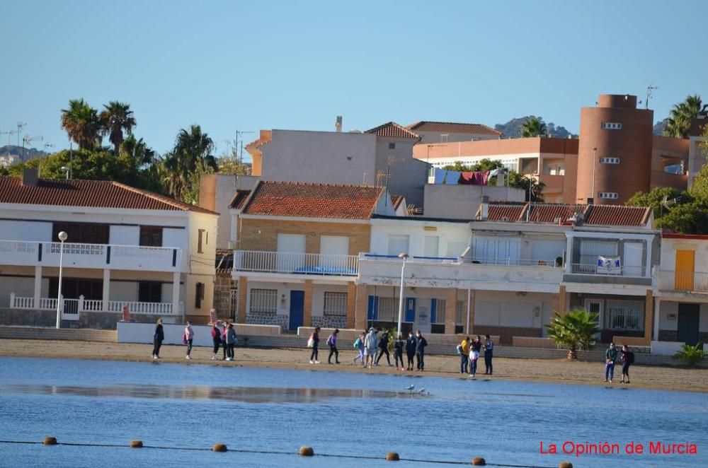 Campeonato de España de Remo Llaüt en Los Nietos