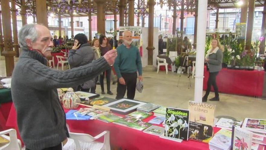 Viveristas de toda España acuden a la I Feria de Orquídeas