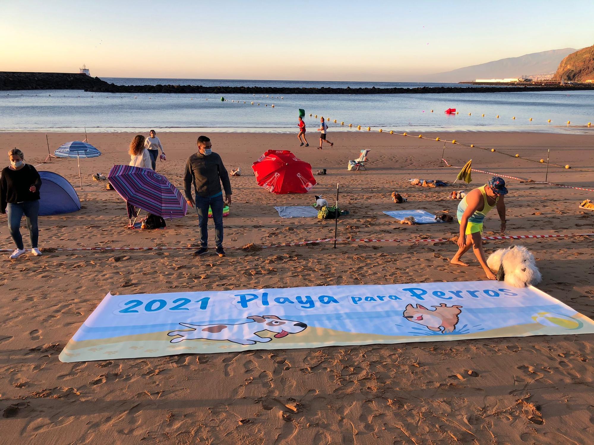 Acción pacífica en la playa de Las Teresitas en demanda de una zona para mascotas