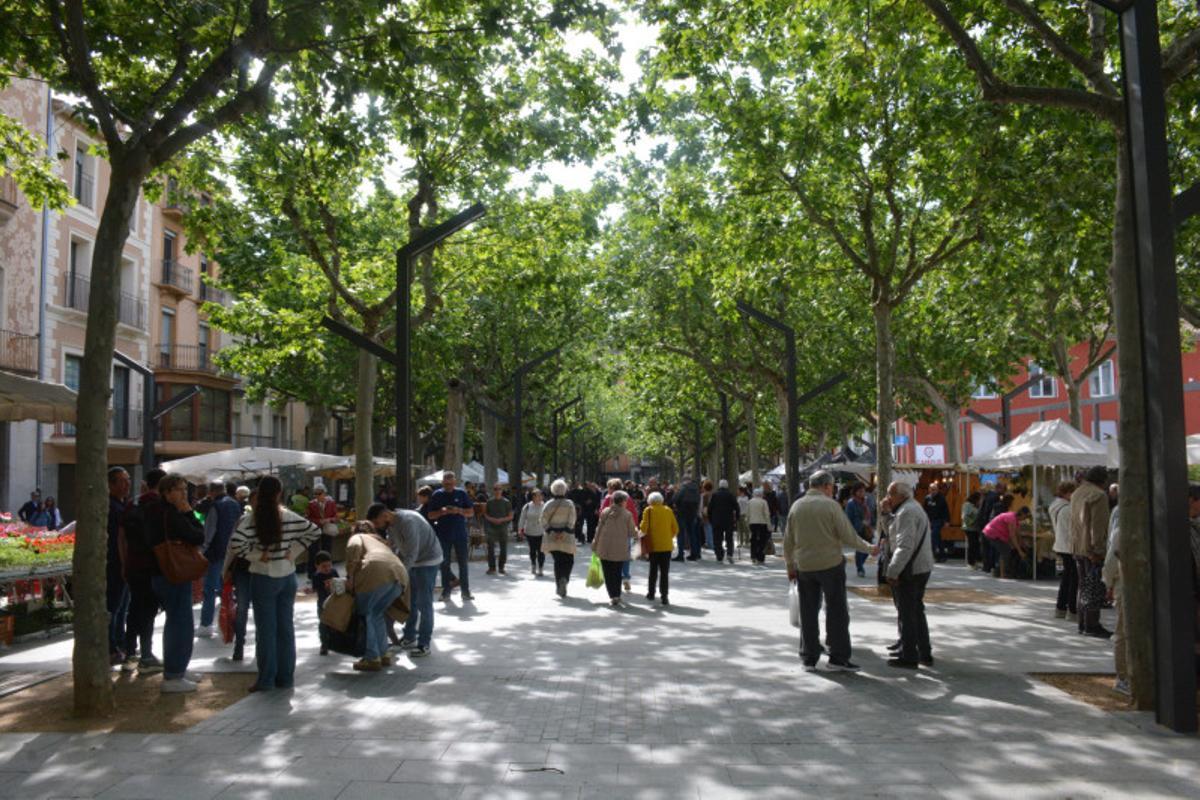 Les imatges de la Fira de l'1 de maig d'Olot
