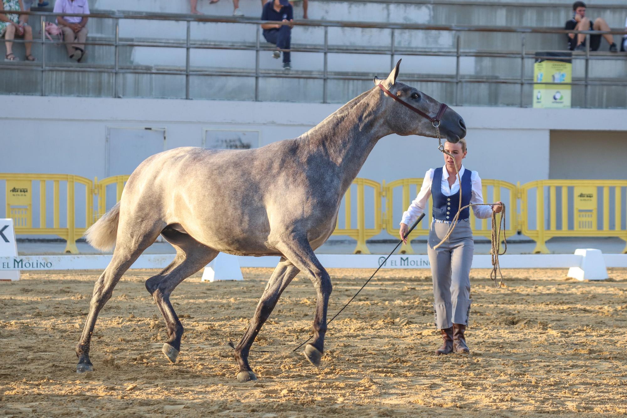 Feria del Ganado Dolores FEGADO 2022