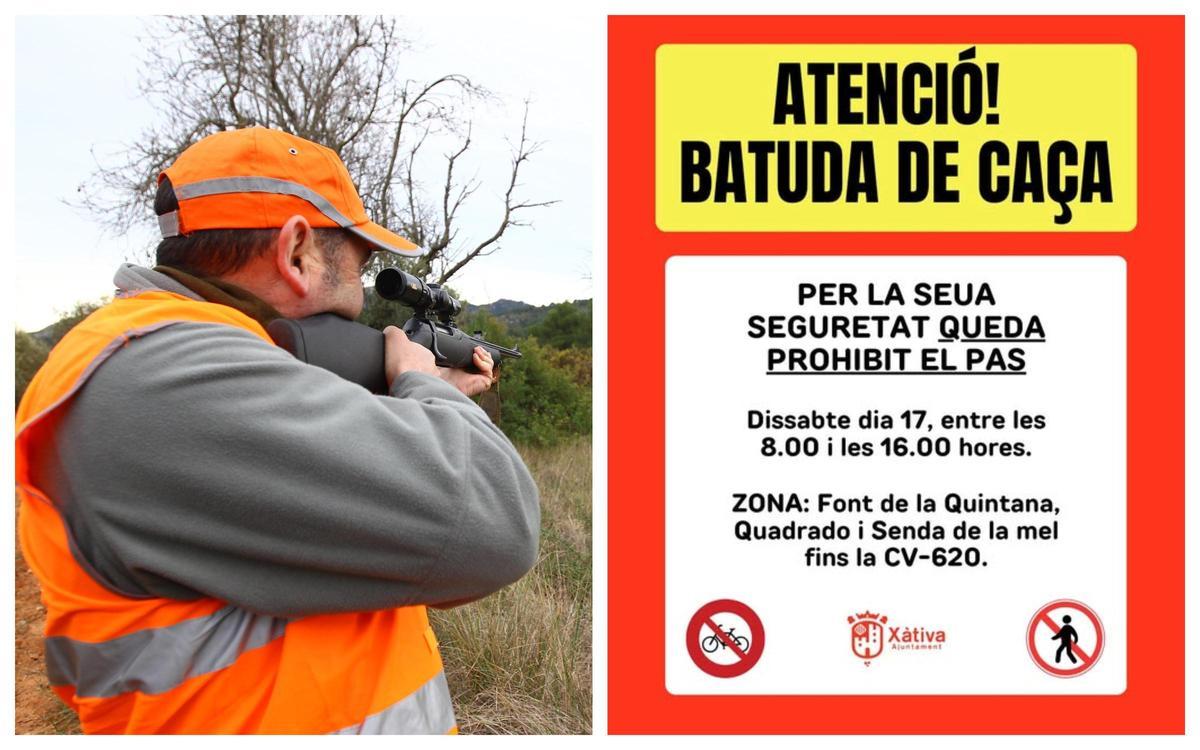 Organizan una batida con 45 cazadores en la zona de Bixquert en Xàtiva