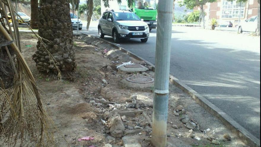 Eucaliptos I se queja de su abandono